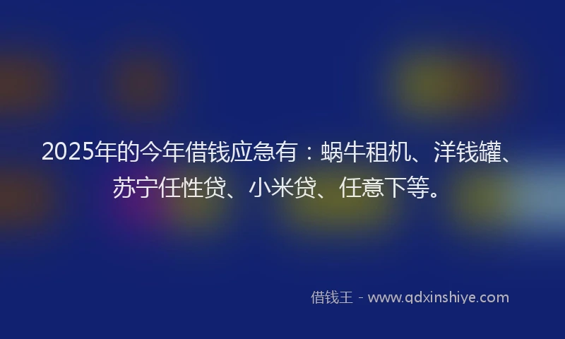 2025年的今年借钱应急有：蜗牛租机、洋钱罐、苏宁任性贷、小米贷、任意下等。