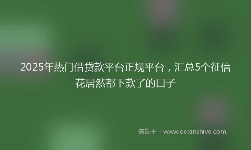 2025年热门借贷款平台正规平台，汇总5个征信花居然都下款了的口子