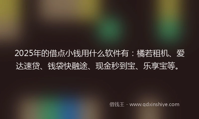 2025年的借点小钱用什么软件有：橘若租机、爱达速贷、钱袋快融途、现金秒到宝、乐享宝等。