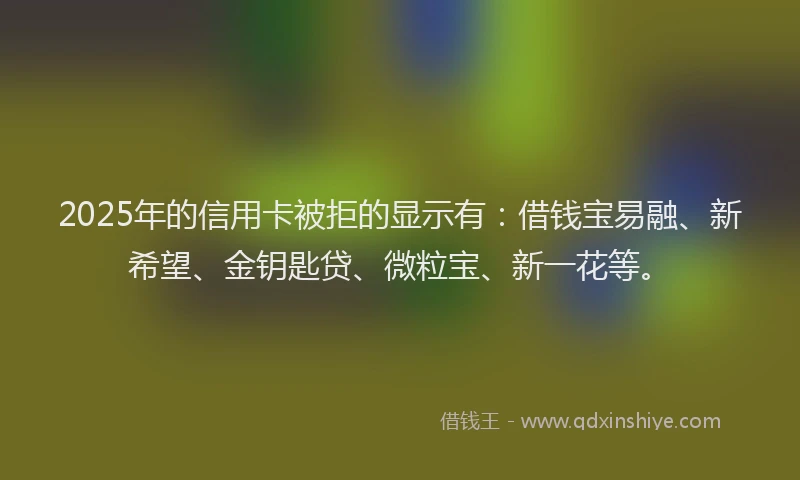 2025年的信用卡被拒的显示有：借钱宝易融、新希望、金钥匙贷、微粒宝、新一花等。