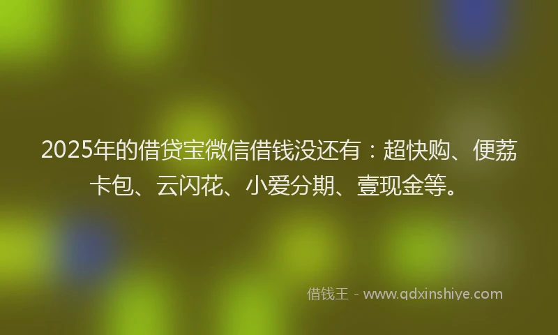 2025年的借贷宝微信借钱没还有：超快购、便荔卡包、云闪花、小爱分期、壹现金等。