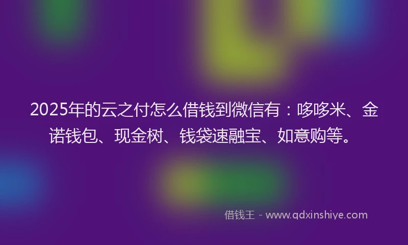 2025年的云之付怎么借钱到微信有：哆哆米、金诺钱包、现金树、钱袋速融宝、如意购等。