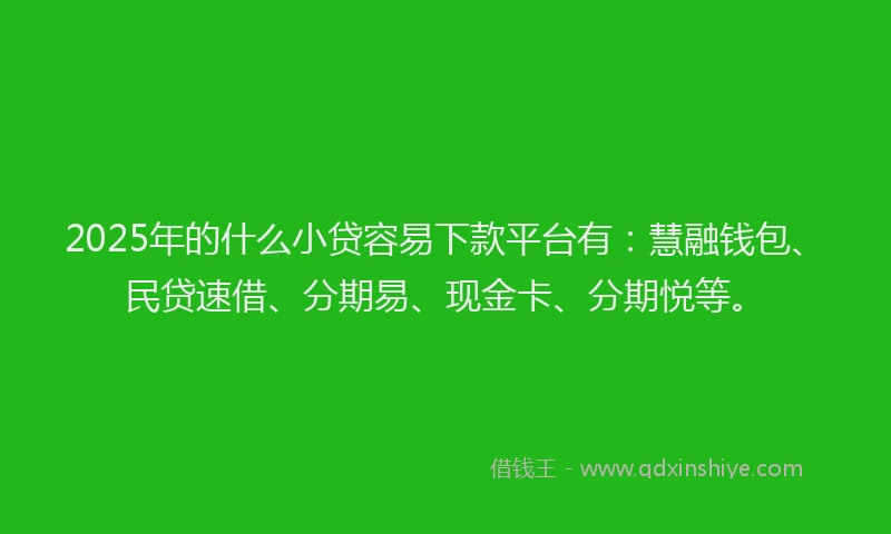 2025年的什么小贷容易下款平台有：慧融钱包、民贷速借、分期易、现金卡、分期悦等。