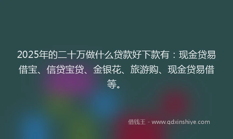 2025年的二十万做什么贷款好下款有：现金贷易借宝、信贷宝贷、金银花、旅游购、现金贷易借等。