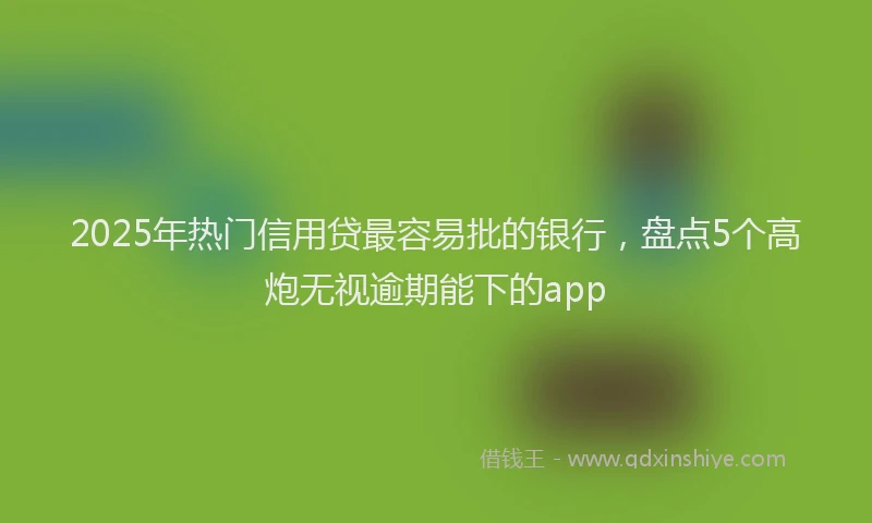 2025年热门信用贷最容易批的银行，盘点5个高炮无视逾期能下的app