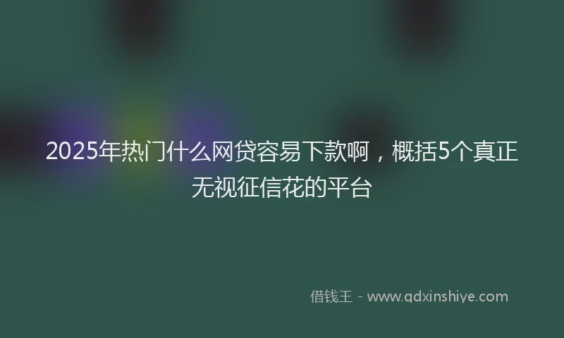 2025年热门什么网贷容易下款啊，概括5个真正无视征信花的平台