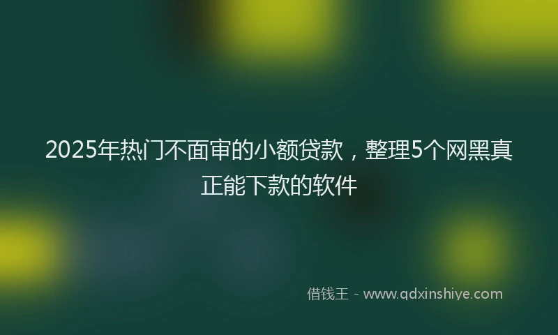 2025年热门不面审的小额贷款，整理5个网黑真正能下款的软件