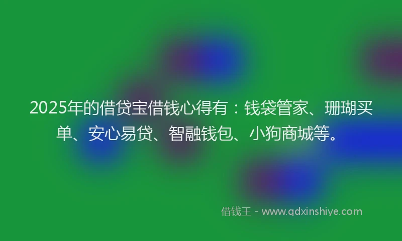 2025年的借贷宝借钱心得有：钱袋管家、珊瑚买单、安心易贷、智融钱包、小狗商城等。