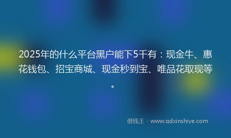 2025年的什么平台黑户能下5千有：现金牛、惠花钱包、招宝商城、现金秒到宝、唯品花取现等。