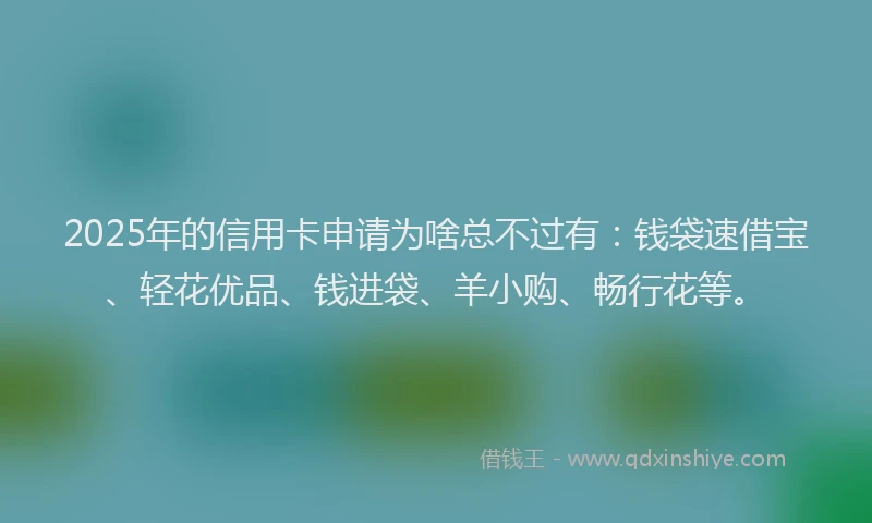 2025年的信用卡申请为啥总不过有：钱袋速借宝、轻花优品、钱进袋、羊小购、畅行花等。