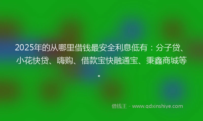 2025年的从哪里借钱最安全利息低有：分子贷、小花快贷、嗨购、借款宝快融通宝、秉鑫商城等。