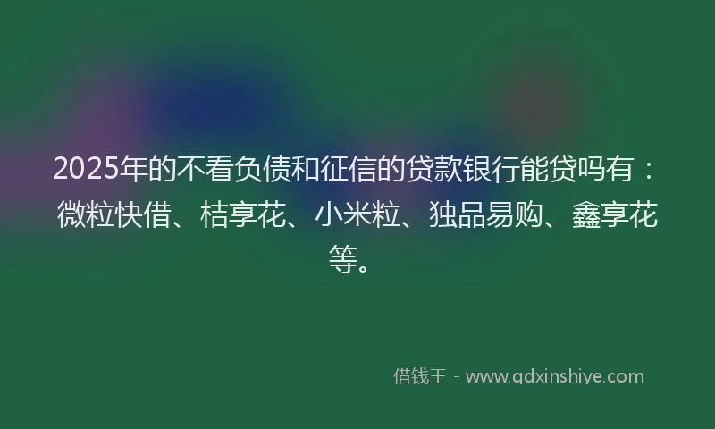 2025年的不看负债和征信的贷款银行能贷吗有：微粒快借、桔享花、小米粒、独品易购、鑫享花等。