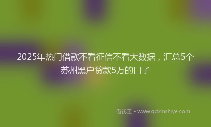 2025年热门借款不看征信不看大数据，汇总5个苏州黑户贷款5万的口子