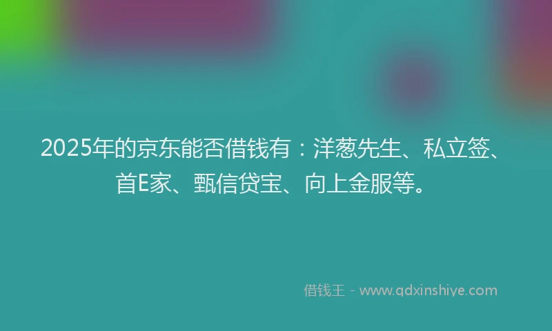 2025年的京东能否借钱有:洋葱先生、私立签、首E家、甄信贷宝、向上金服等。
