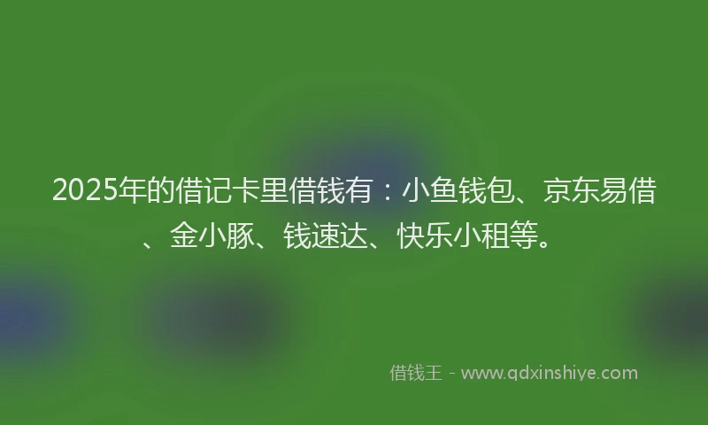 2025年的借记卡里借钱有：小鱼钱包、京东易借、金小豚、钱速达、快乐小租等。