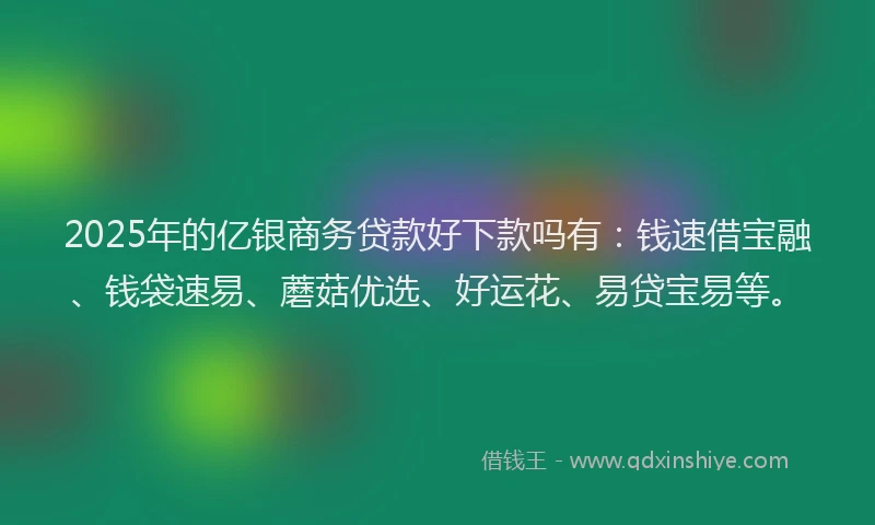 2025年的亿银商务贷款好下款吗有：钱速借宝融、钱袋速易、蘑菇优选、好运花、易贷宝易等。