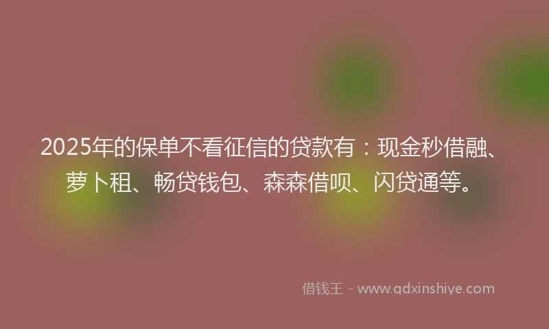 2025年的保单不看征信的贷款有：现金秒借融、萝卜租、畅贷钱包、森森借呗、闪贷通等。