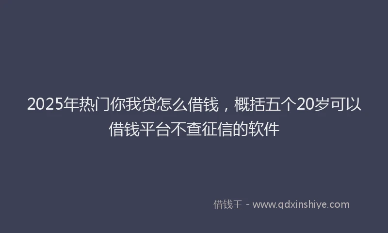2025年热门你我贷怎么借钱，概括五个20岁可以借钱平台不查征信的软件