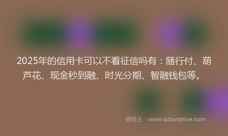 2025年的信用卡可以不看征信吗有：随行付、葫芦花、现金秒到融、时光分期、智融钱包等。