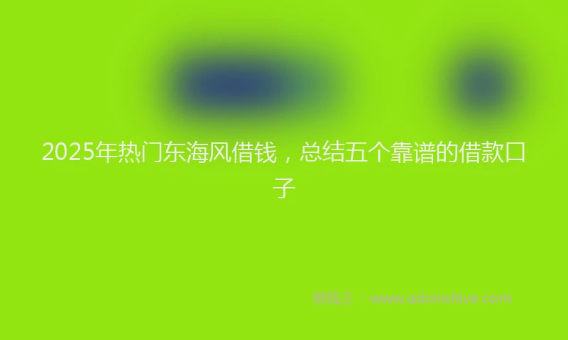 2025年热门东海风借钱，总结五个靠谱的借款口子