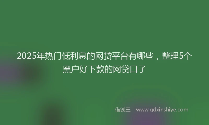 2025年热门低利息的网贷平台有哪些，整理5个黑户好下款的网贷口子