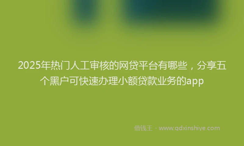 2025年热门人工审核的网贷平台有哪些，分享五个黑户可快速办理小额贷款业务的app