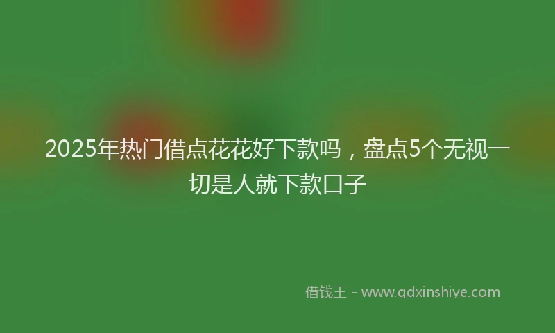 2025年热门借点花花好下款吗，盘点5个无视一切是人就下款口子