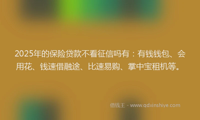 2025年的保险贷款不看征信吗有：有钱钱包、会用花、钱速借融途、比速易购、掌中宝租机等。