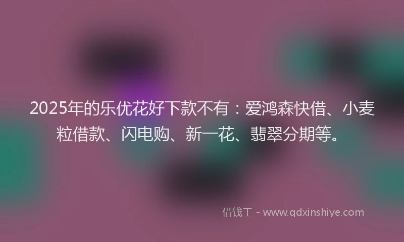 2025年的乐优花好下款不有：爱鸿森快借、小麦粒借款、闪电购、新一花、翡翠分期等。