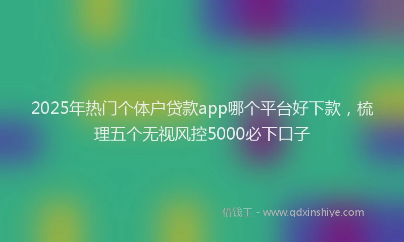 2025年热门个体户贷款app哪个平台好下款，梳理五个无视风控5000必下口子