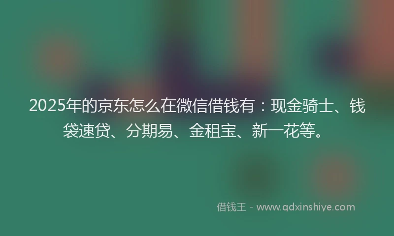 2025年的京东怎么在微信借钱有：现金骑士、钱袋速贷、分期易、金租宝、新一花等。