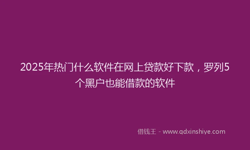2025年热门什么软件在网上贷款好下款，罗列5个黑户也能借款的软件
