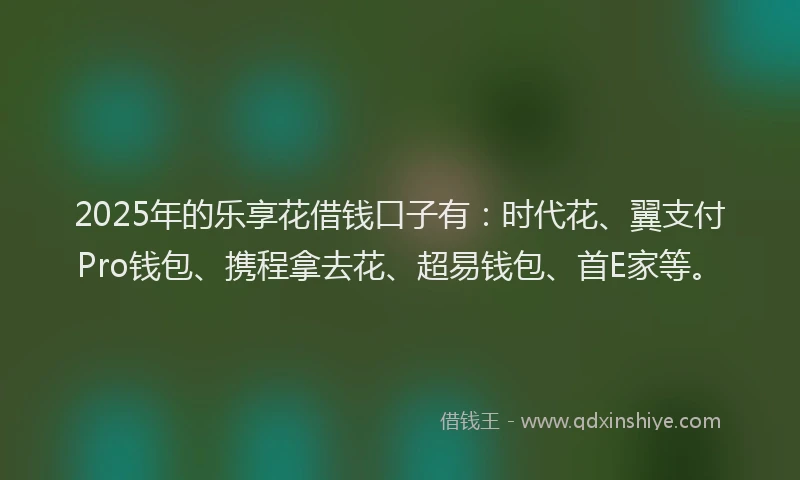 2025年的乐享花借钱口子有：时代花、翼支付Pro钱包、携程拿去花、超易钱包、首E家等。