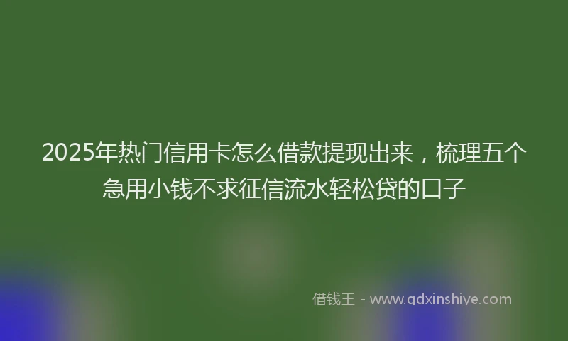2025年热门信用卡怎么借款提现出来，梳理五个急用小钱不求征信流水轻松贷的口子