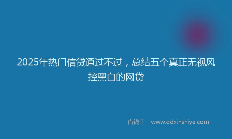 2025年热门信贷通过不过，总结五个真正无视风控黑白的网贷