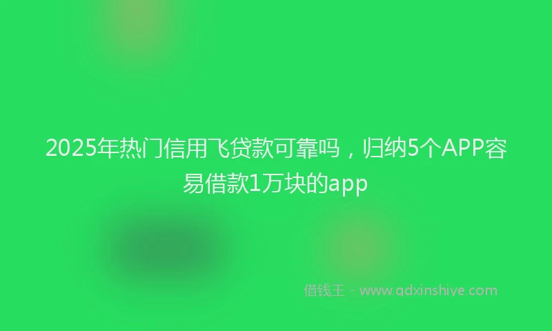 2025年热门信用飞贷款可靠吗，归纳5个APP容易借款1万块的app