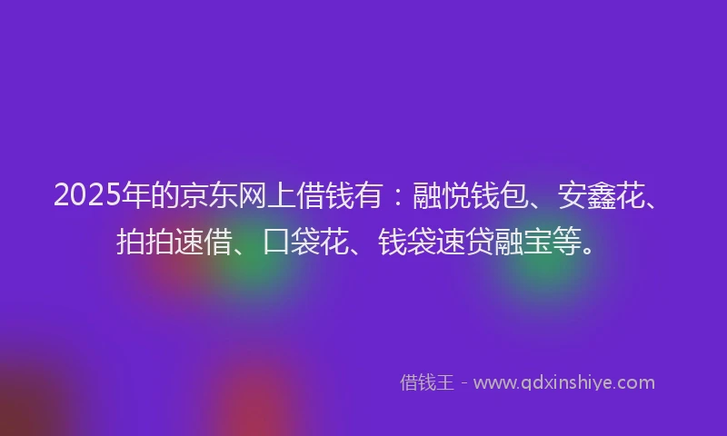2025年的京东网上借钱有：融悦钱包、安鑫花、拍拍速借、口袋花、钱袋速贷融宝等。