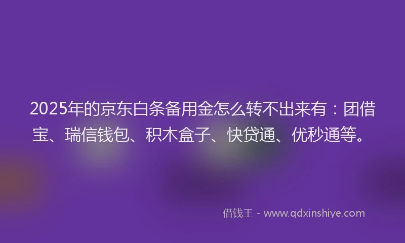 2025年的京东白条备用金怎么转不出来有：团借宝、瑞信钱包、积木盒子、快贷通、优秒通等。