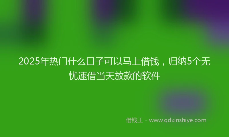 2025年热门什么口子可以马上借钱，归纳5个无忧速借当天放款的软件