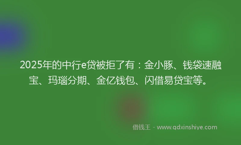 2025年的中行e贷被拒了有：金小豚、钱袋速融宝、玛瑙分期、金亿钱包、闪借易贷宝等。