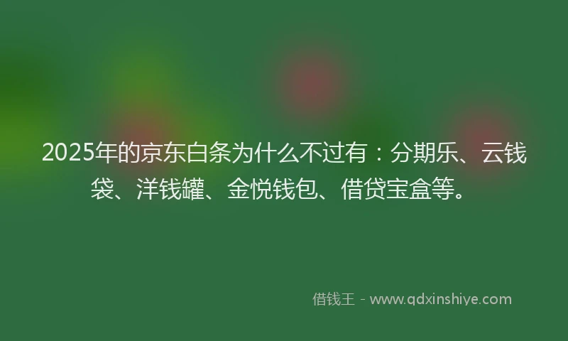 2025年的京东白条为什么不过有：分期乐、云钱袋、洋钱罐、金悦钱包、借贷宝盒等。