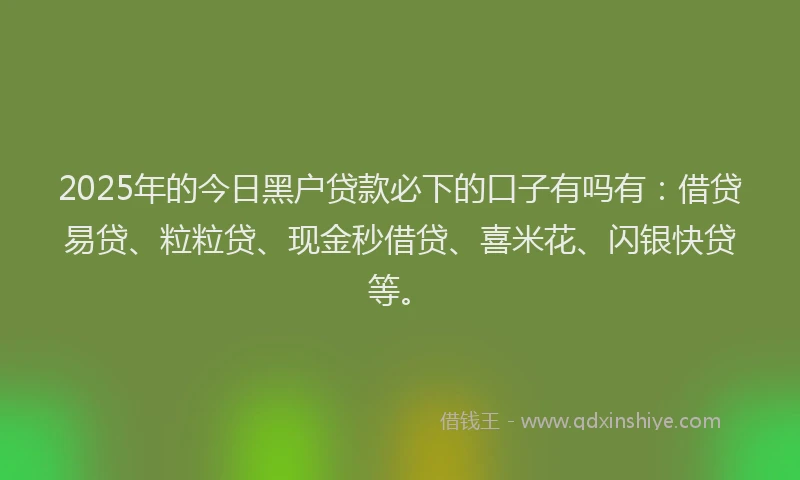 2025年的今日黑户贷款必下的口子有吗有：借贷易贷、粒粒贷、现金秒借贷、喜米花、闪银快贷等。