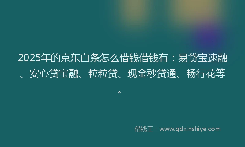 2025年的京东白条怎么借钱借钱有：易贷宝速融、安心贷宝融、粒粒贷、现金秒贷通、畅行花等。