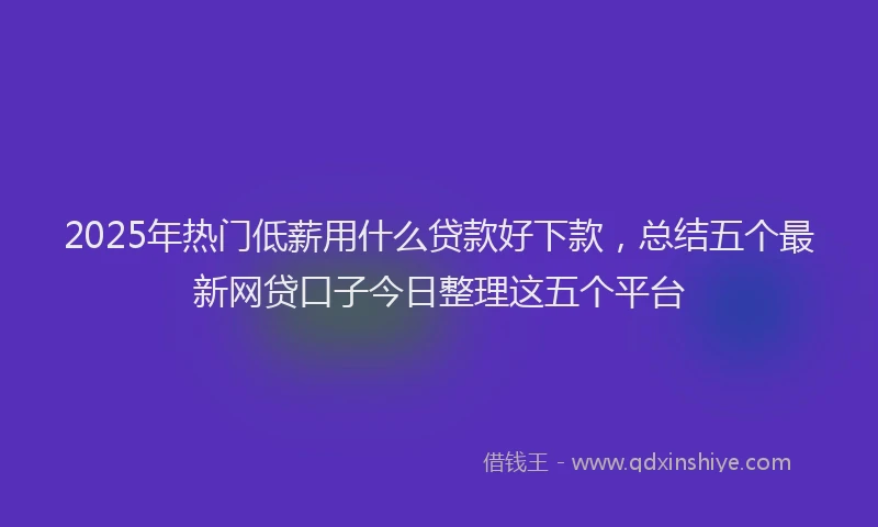 2025年热门低薪用什么贷款好下款，总结五个最新网贷口子今日整理这五个平台