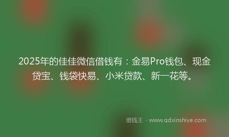 2025年的佳佳微信借钱有：金易Pro钱包、现金贷宝、钱袋快易、小米贷款、新一花等。