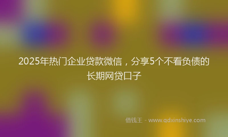 2025年热门企业贷款微信，分享5个不看负债的长期网贷口子