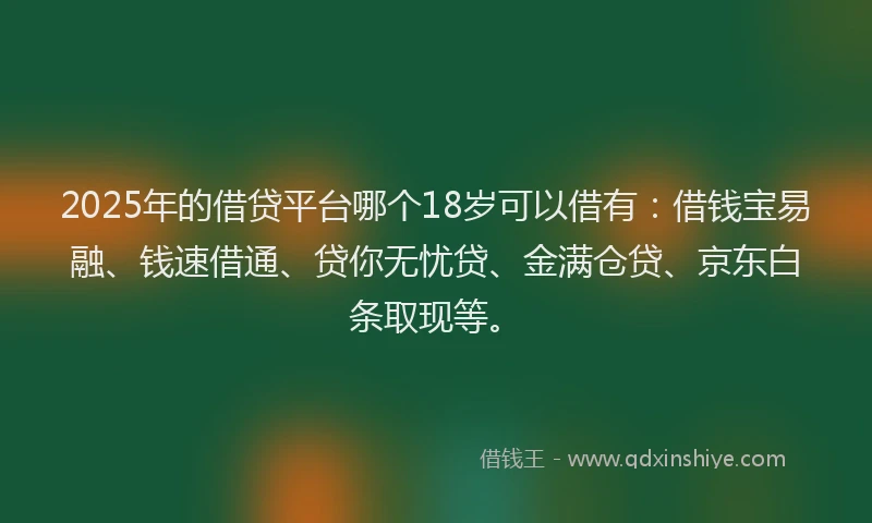 2025年的借贷平台哪个18岁可以借有：借钱宝易融、钱速借通、贷你无忧贷、金满仓贷、京东白条取现等。