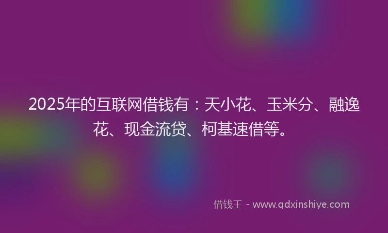 2025年的互联网借钱有：天小花、玉米分、融逸花、现金流贷、柯基速借等。