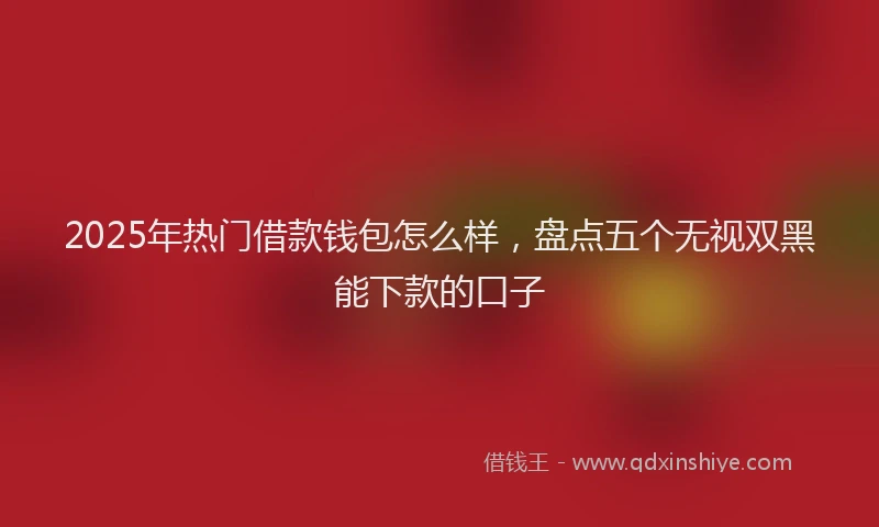 2025年热门借款钱包怎么样，盘点五个无视双黑能下款的口子