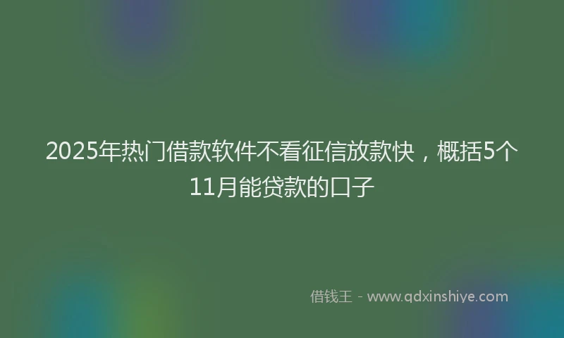 2025年热门借款软件不看征信放款快，概括5个11月能贷款的口子